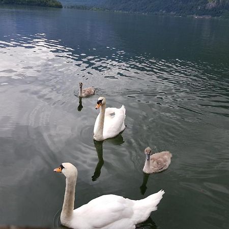 Appartement Emilia Hallstatt Exterior photo